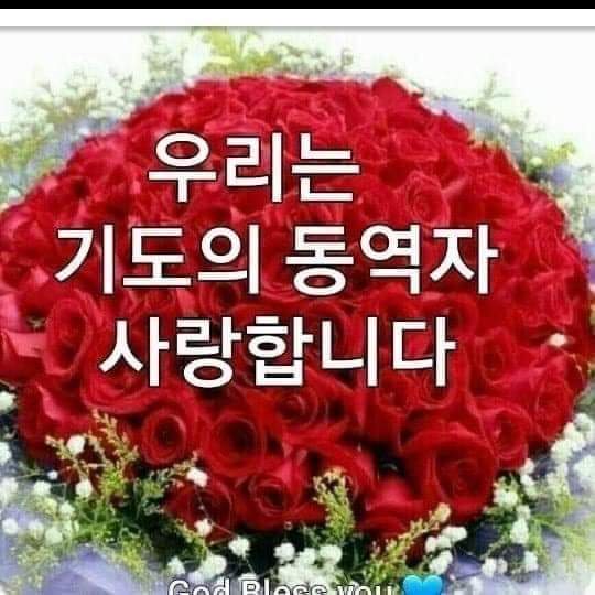하늘보라 이미지