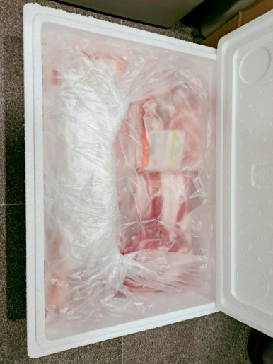 조은 꼬기 이미지