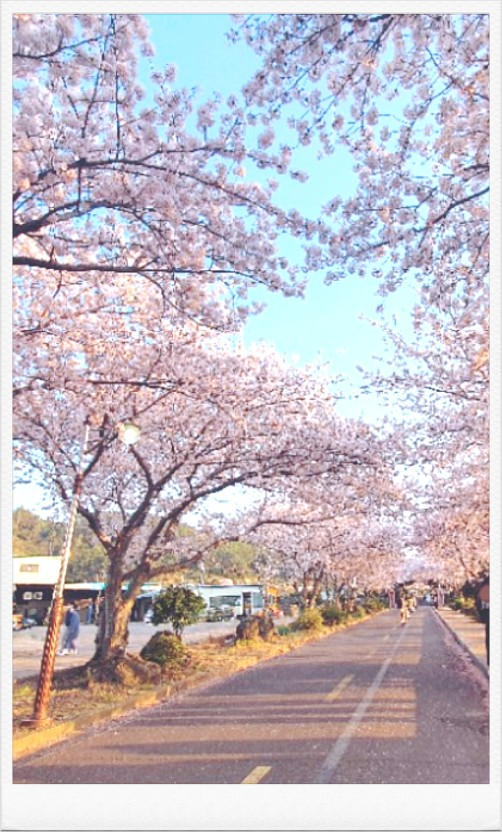 진영마트서사라점 이미지