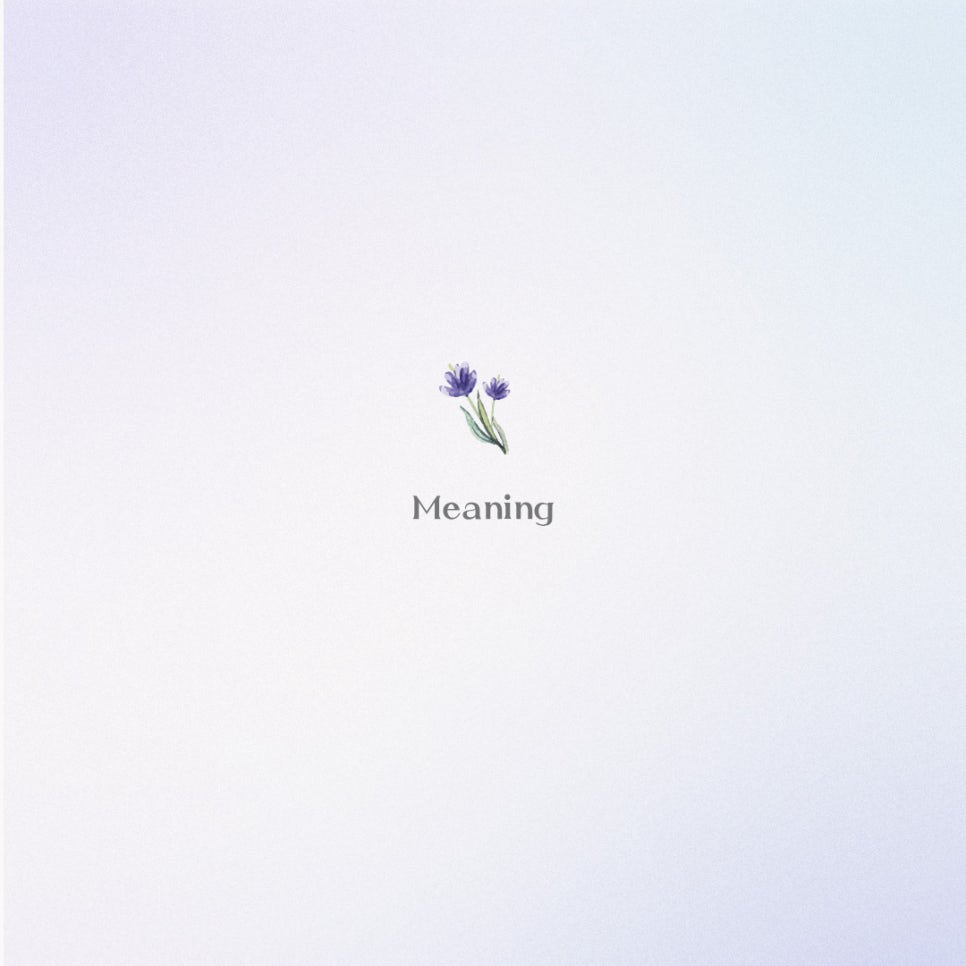 디자인미닝 이미지