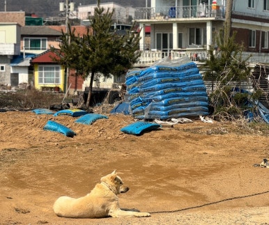 대운각 이미지