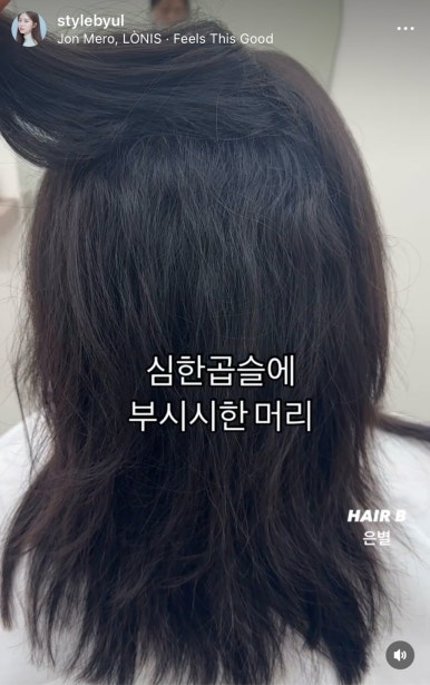 헤어비 이미지