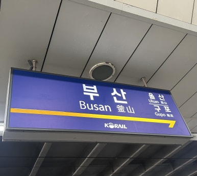 카페이다음 이미지