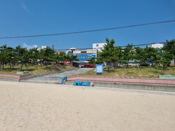 조개빛바다 이미지