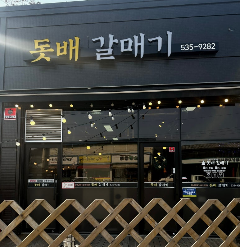 돗배갈매기 이미지