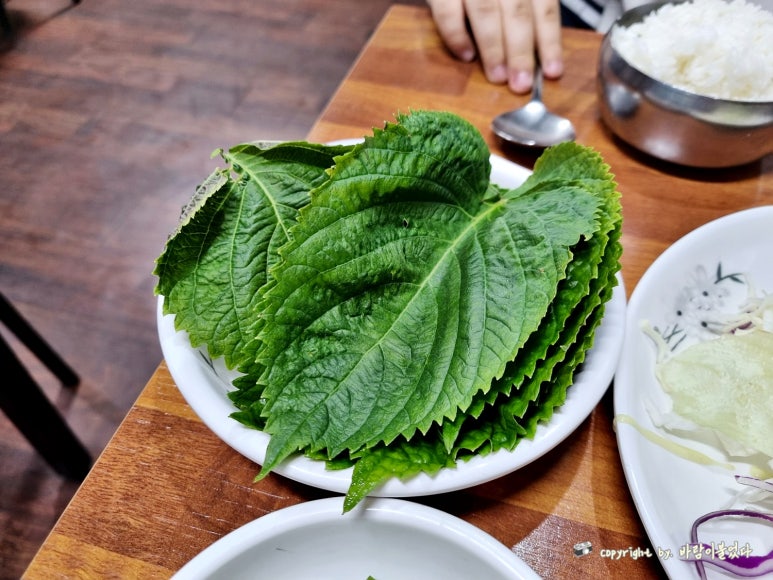 창동낙지,쭈꾸미 이미지