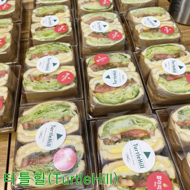 터틀힐 이미지