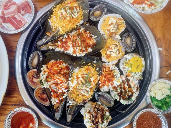 조개빛바다 이미지