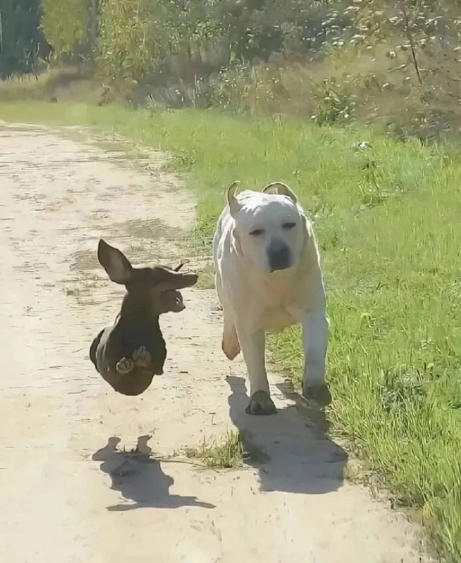 청하사우나 이미지