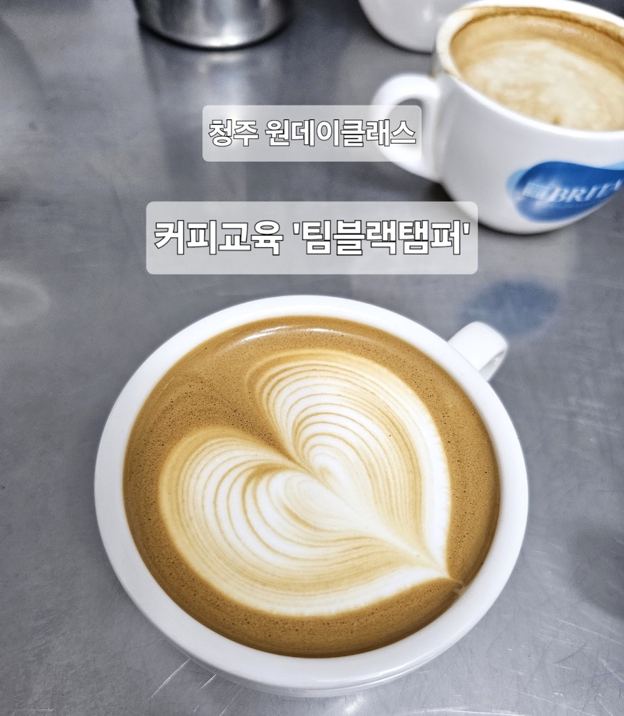 팀블랙탬퍼 이미지