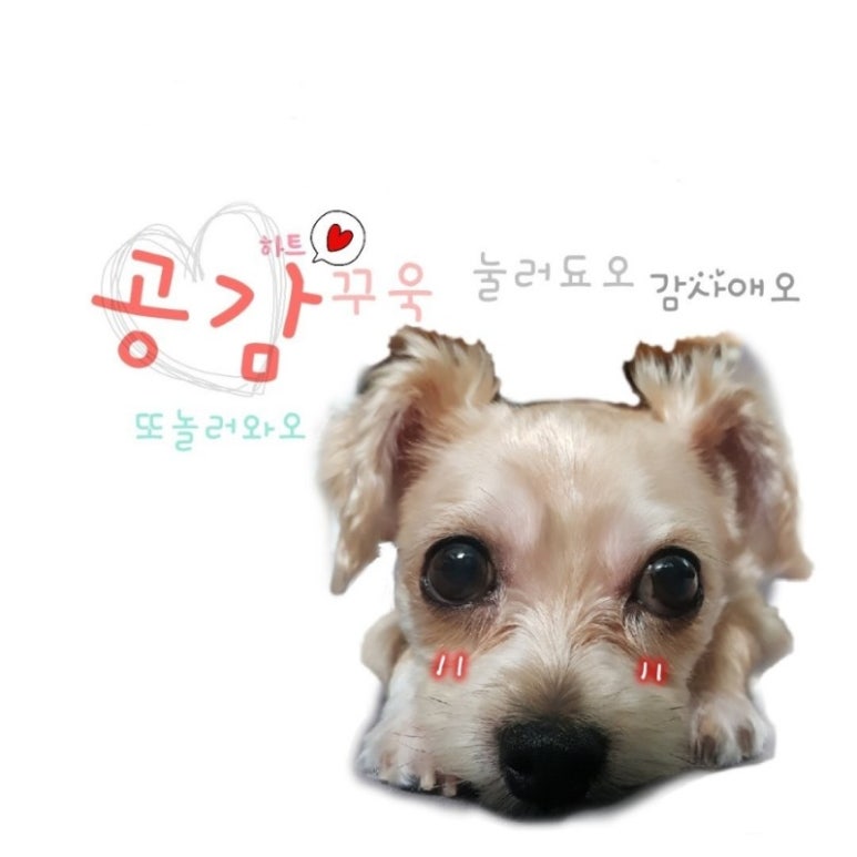 양푼생돼지김치찌개 이미지
