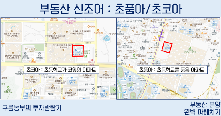 초코아 이미지