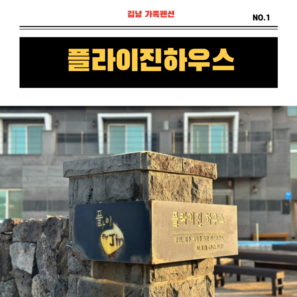플라이진 이미지