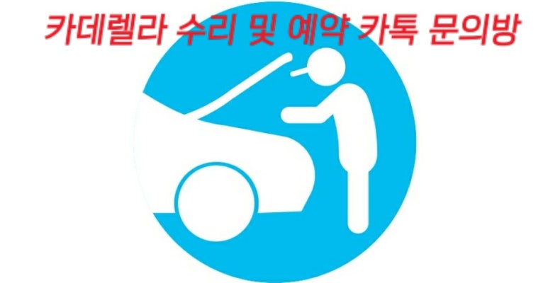 카데렐라 이미지