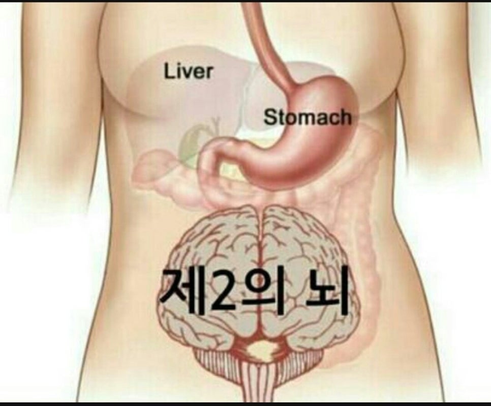 방영학 이미지