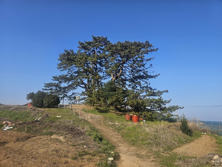 국수당 이미지