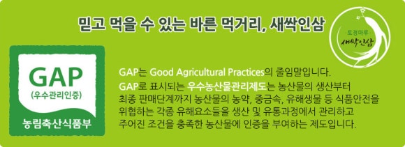 농업회사법인 주식회사 보령스마트팜 이미지