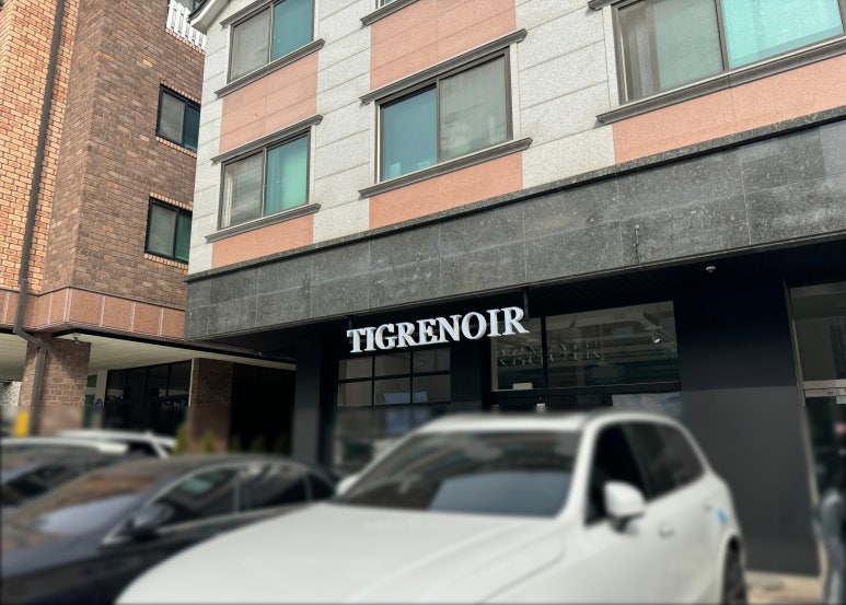 티그레노어 이미지