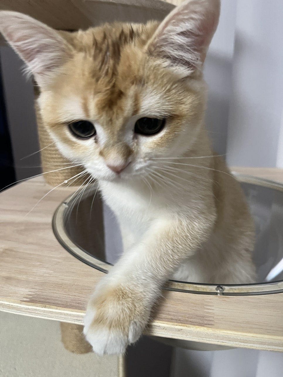 써브웨이 상주중앙점 이미지