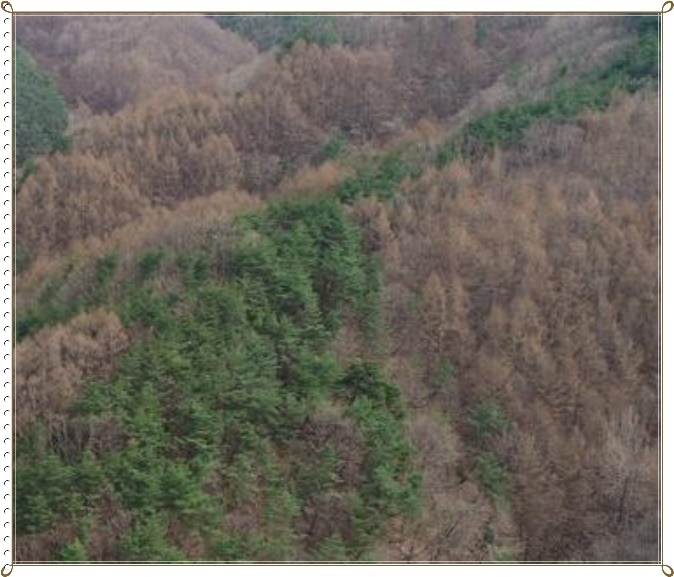 사일산 이미지