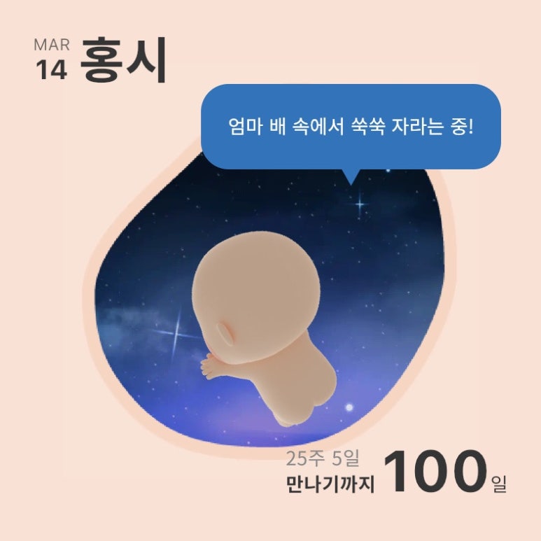 육대빵 이미지