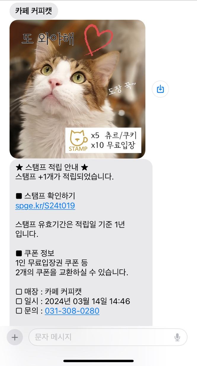 카페 커피캣 이미지