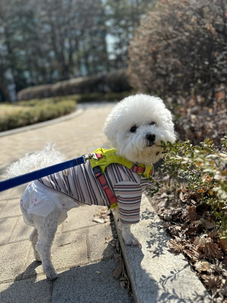 올바로교육문화센터 이미지