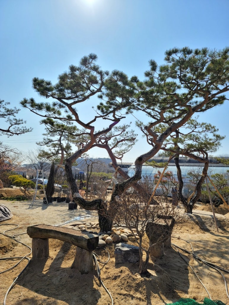 세종조경농원 이미지