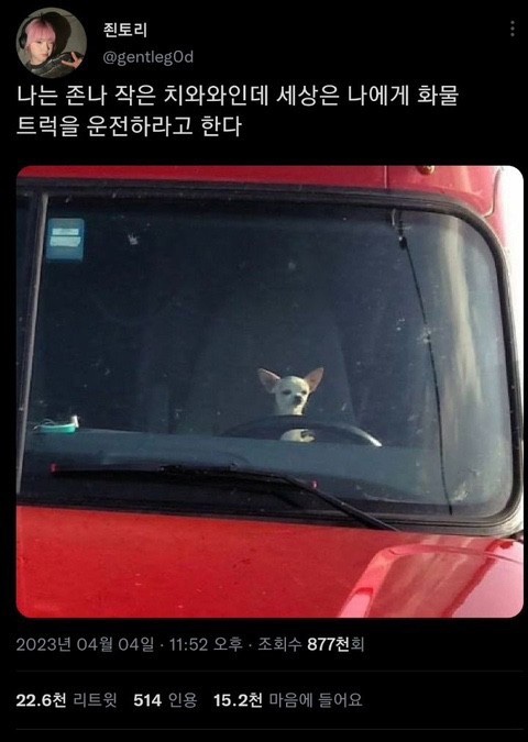 화물세상 이미지