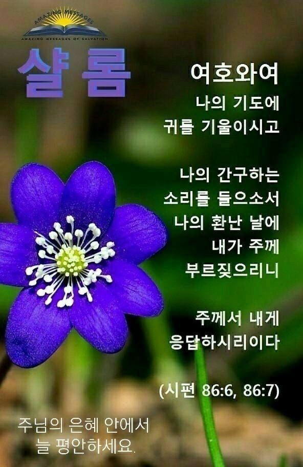 건강최고 이미지