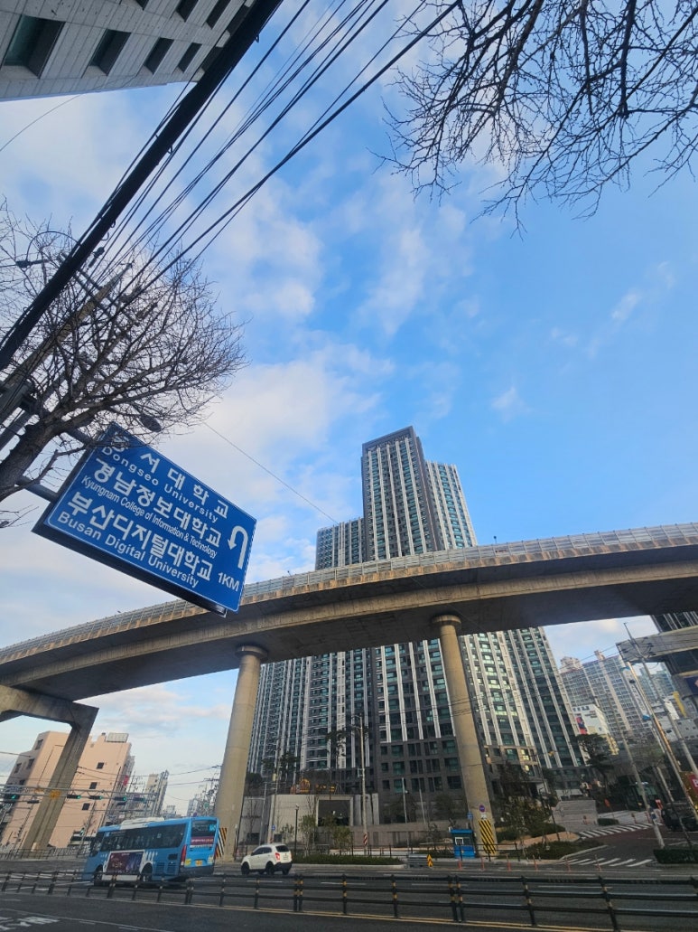주례플랩스타디움 이미지