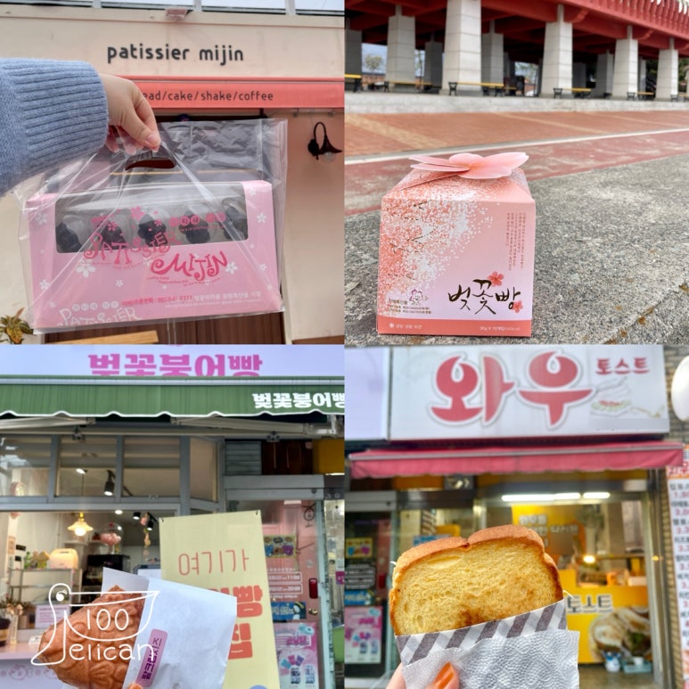 파티쉐미진 이미지