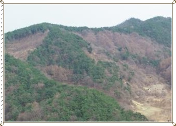사일산 이미지