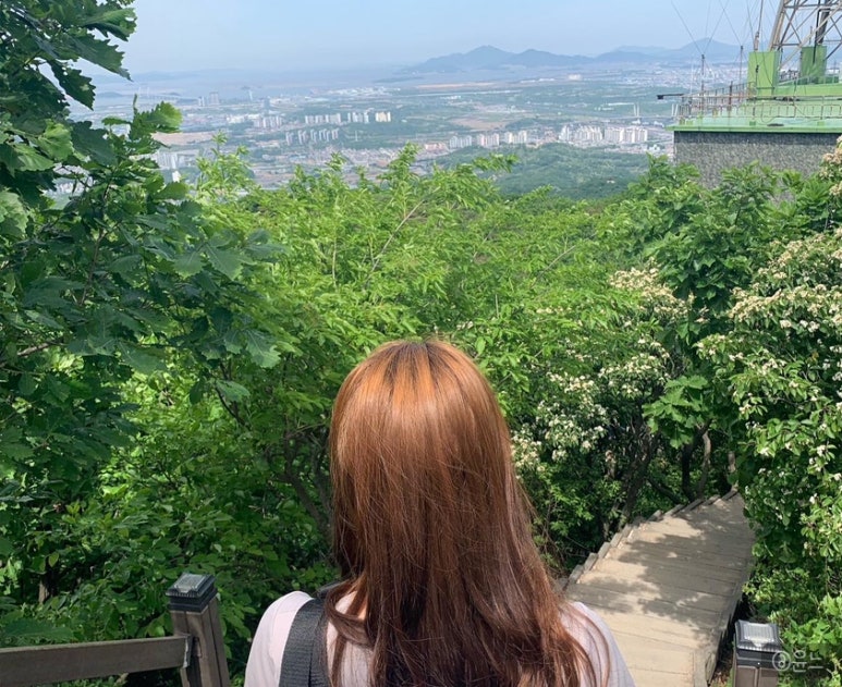살롱열애중 이미지