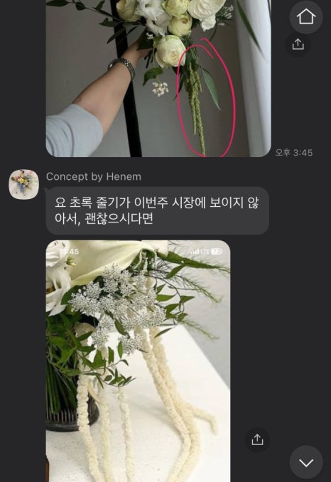 헤넴 이미지