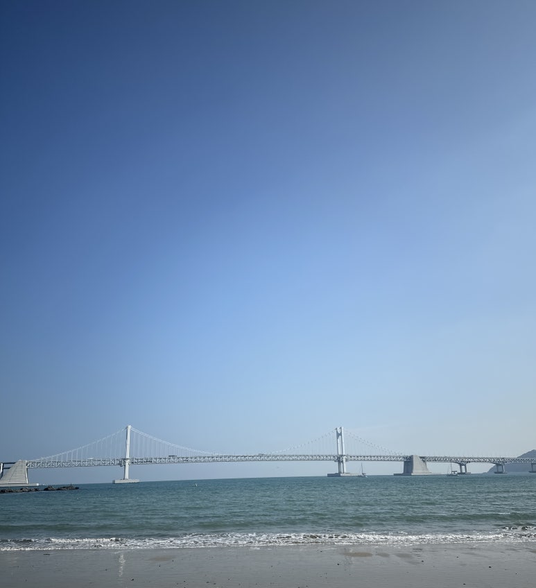 광안리대교밀면 이미지