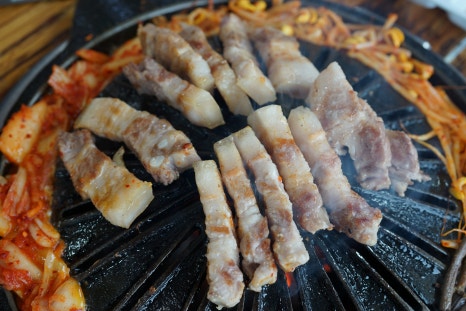 고고애월 이미지