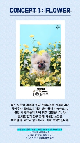 스튜디오사람 이미지