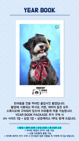 스튜디오사람 이미지