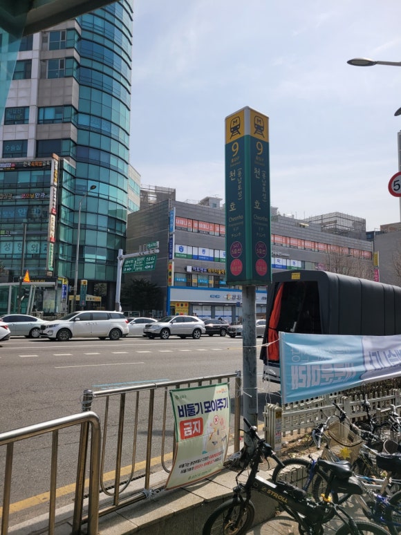 솔에스테틱 서울강동점 래쉬양 이미지