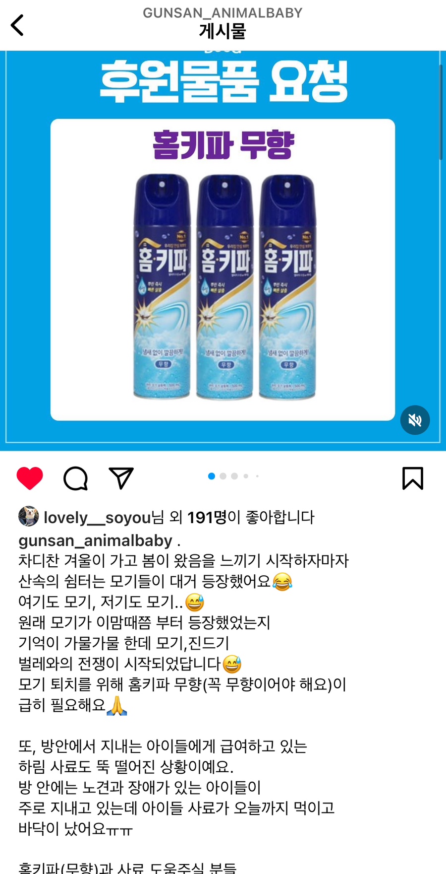 에버독 이미지
