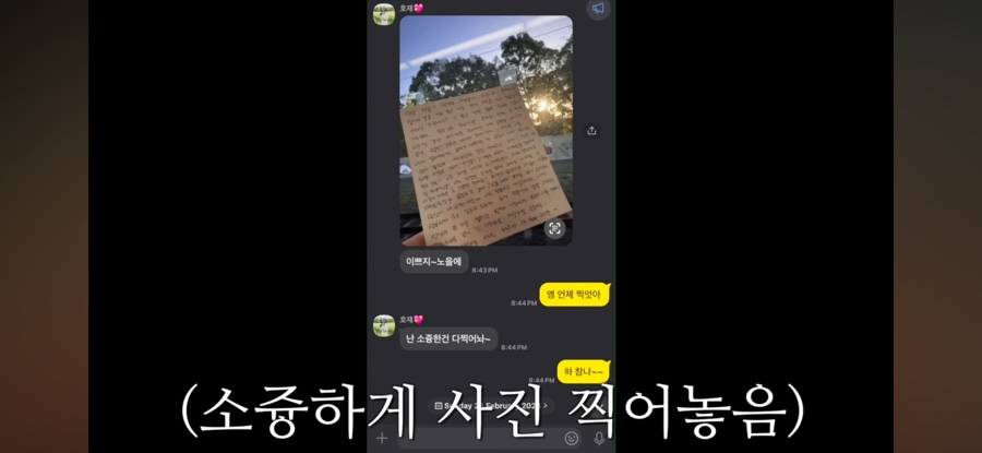 도토 이미지