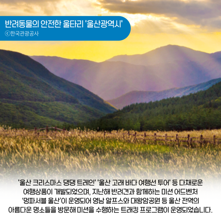 한국꽃직매장 이미지