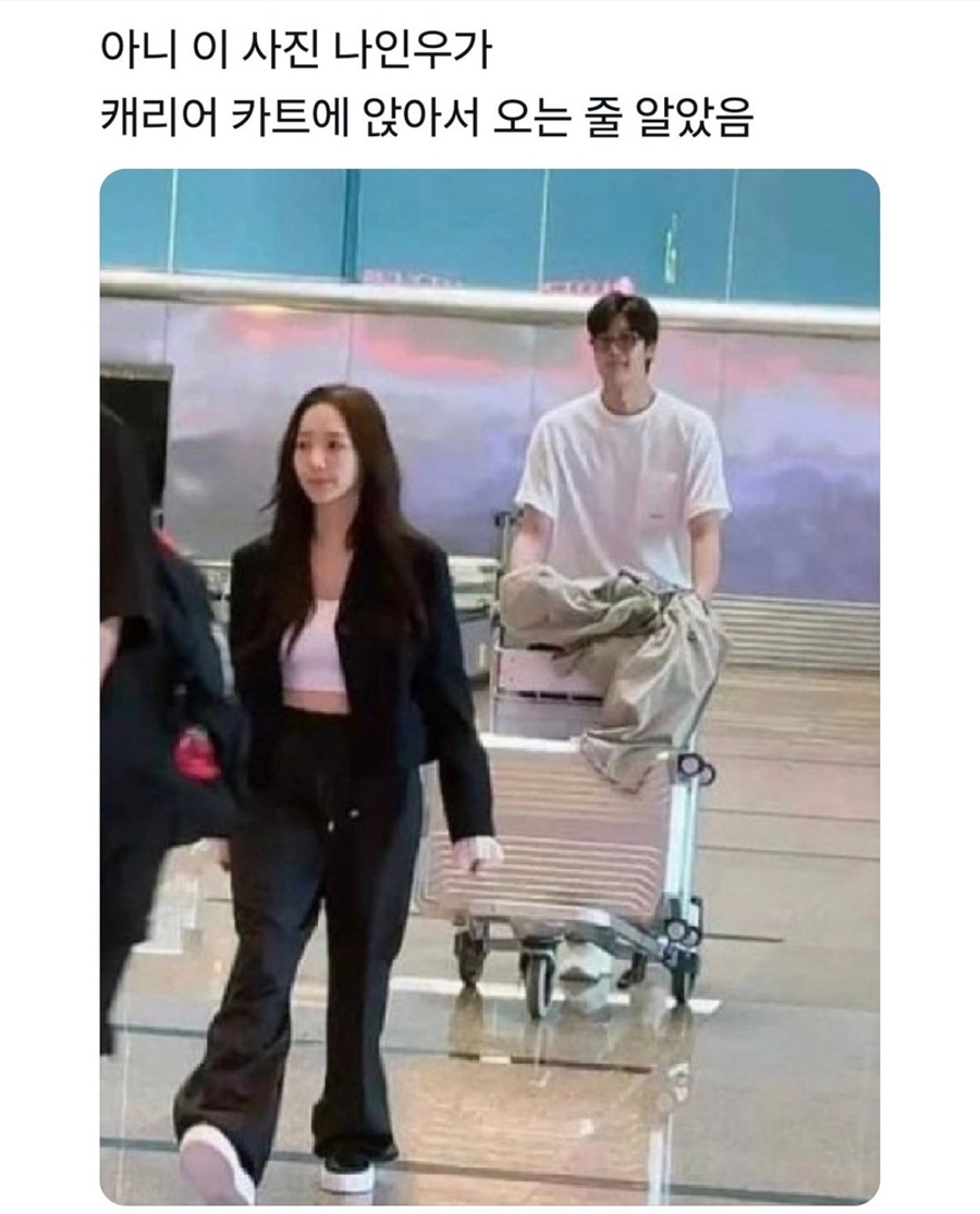 스테이블디 이미지
