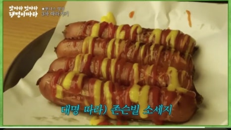 지베어 이미지