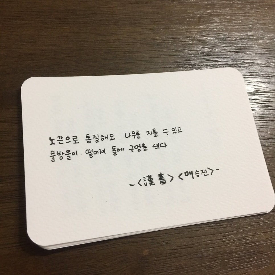 음악나무음악학원 이미지