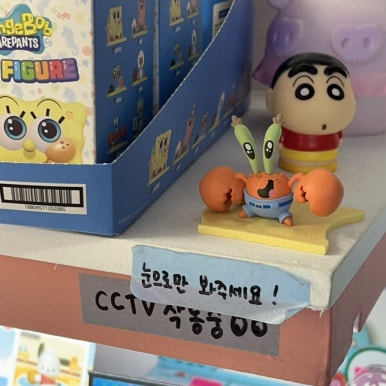 바바포레스트 이미지