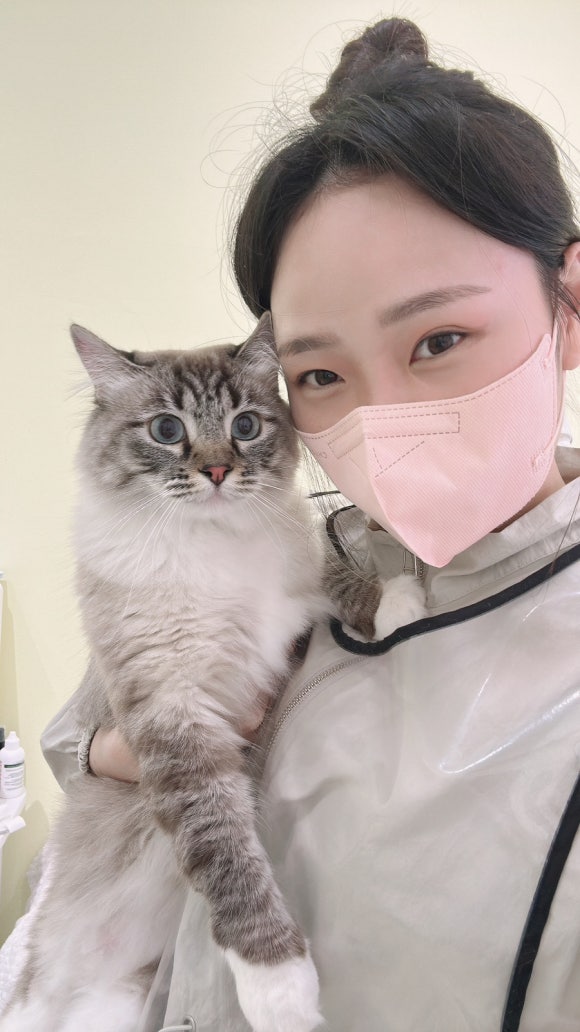 재이미 이미지