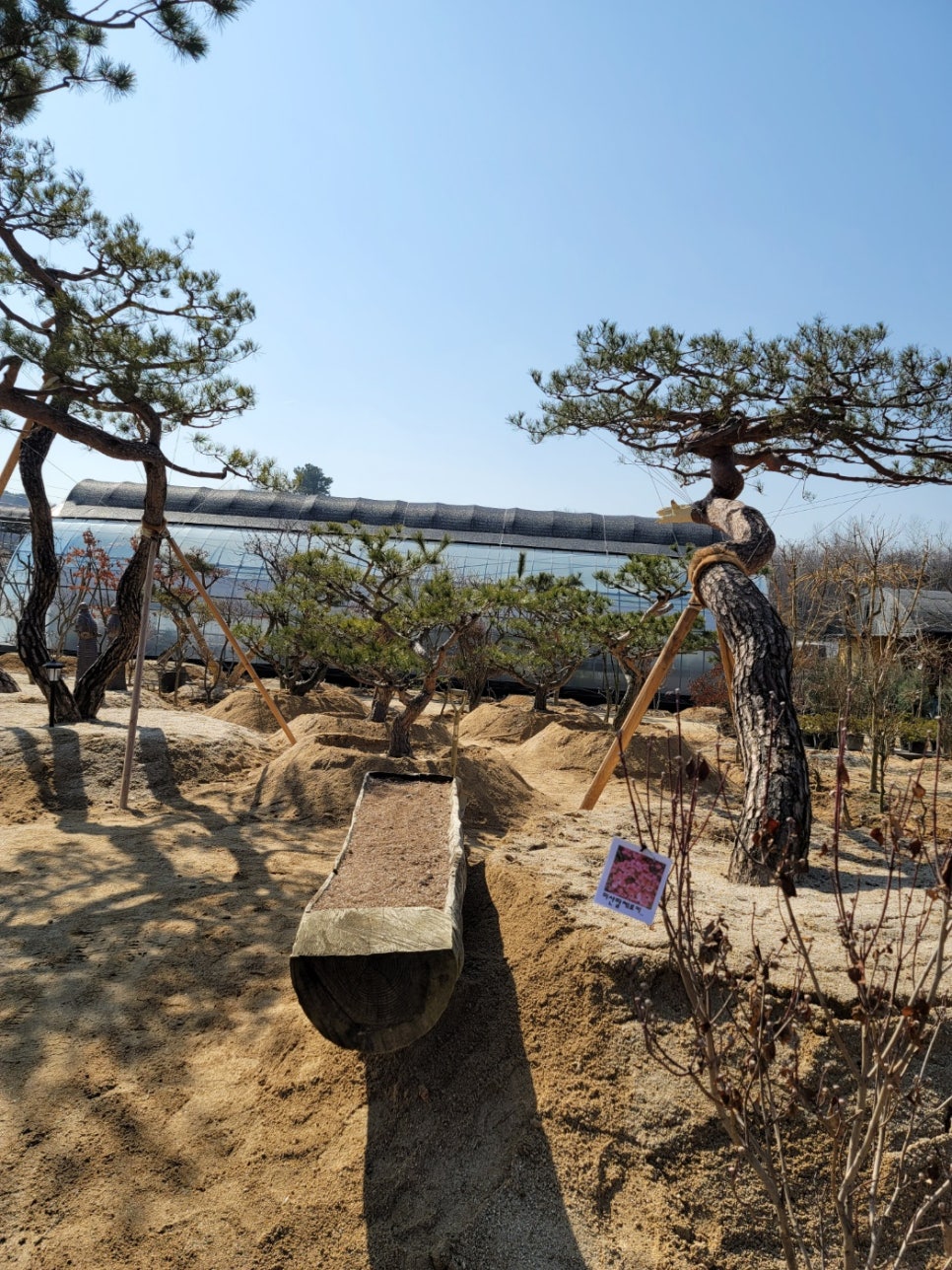세종조경농원 이미지