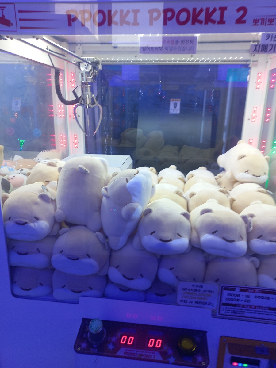 팡팡게임랜드 이미지